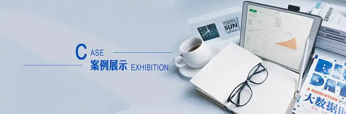 通化县软件开发